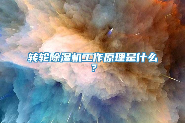 轉(zhuǎn)輪除濕機工作原理是什么？