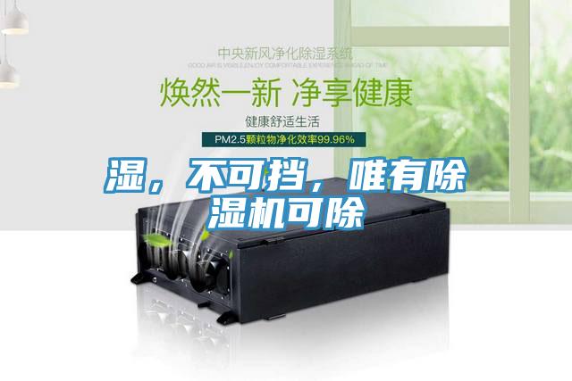 濕，不可擋，唯有除濕機可除