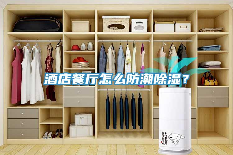 酒店餐廳怎么防潮除濕？