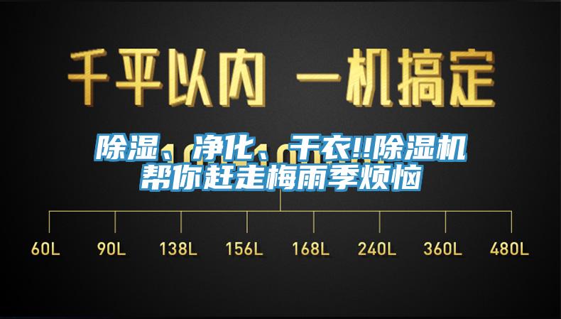 除濕、凈化、干衣!!除濕機幫你趕走梅雨季煩惱