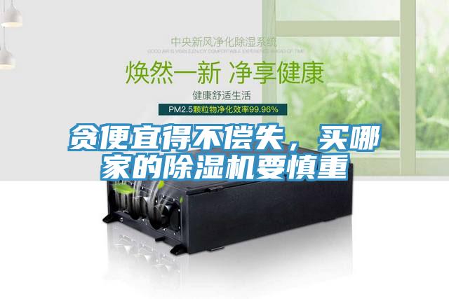 貪便宜得不償失，買哪家的除濕機要慎重