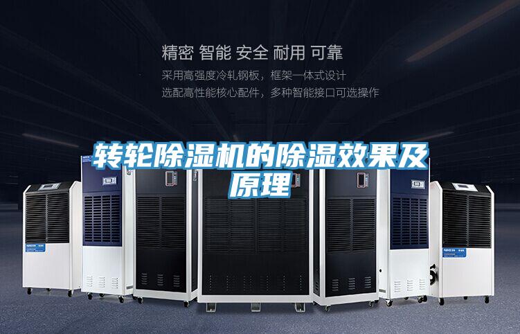 轉(zhuǎn)輪除濕機的除濕效果及原理