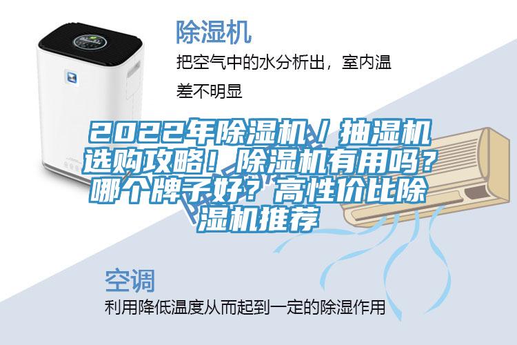2022年除濕機／抽濕機選購攻略！除濕機有用嗎？哪個牌子好？高性價比除濕機推薦