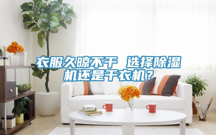 衣服久晾不干 選擇除濕機(jī)還是干衣機(jī)？