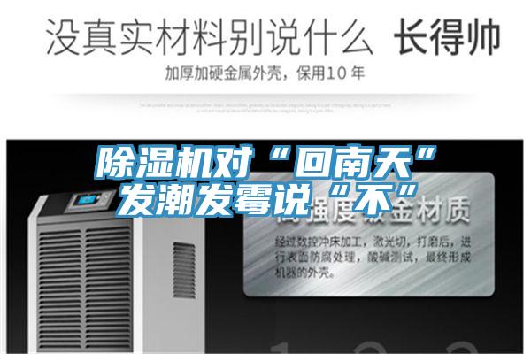 除濕機對“回南天”發(fā)潮發(fā)霉說“不”