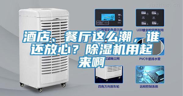 酒店、餐廳這么潮，誰還放心？除濕機(jī)用起來啊