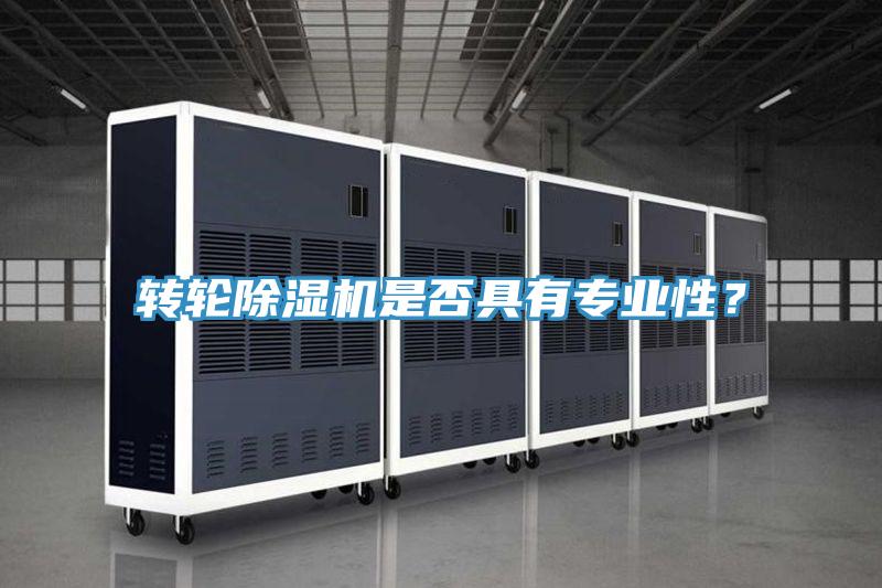 轉(zhuǎn)輪除濕機(jī)是否具有專業(yè)性？