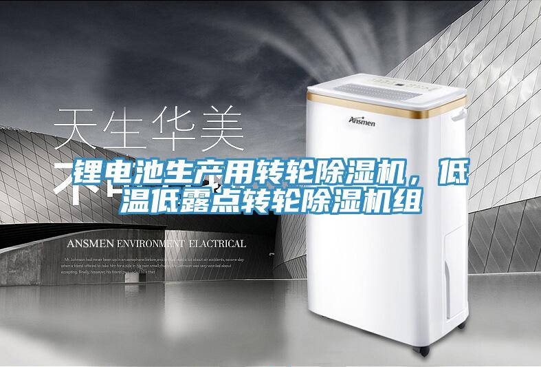 鋰電池生產(chǎn)用轉(zhuǎn)輪除濕機，低溫低露點轉(zhuǎn)輪除濕機組
