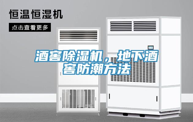 酒窖除濕機(jī)，地下酒窖防潮方法