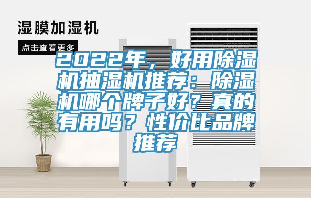 2022年，好用除濕機抽濕機推薦：除濕機哪個牌子好？真的有用嗎？性價比品牌推薦
