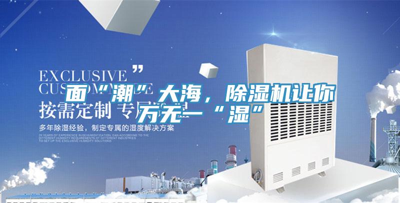 面“潮”大海，除濕機(jī)讓你萬無一“濕”