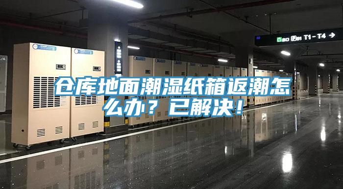 倉庫地面潮濕紙箱返潮怎么辦？已解決！