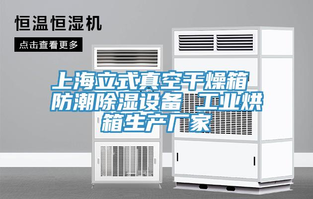 上海立式真空干燥箱 防潮除濕設備 工業(yè)烘箱生產(chǎn)廠家