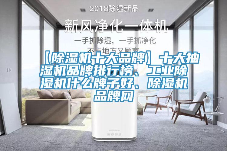 【除濕機十大品牌】十大抽濕機品牌排行榜、工業(yè)除濕機什么牌子好、除濕機品牌網(wǎng)