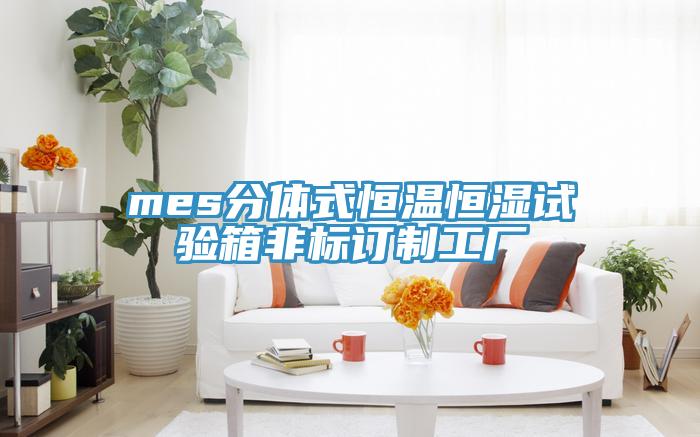 mes分體式恒溫恒濕試驗(yàn)箱非標(biāo)訂制工廠