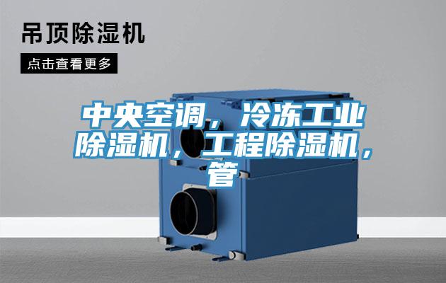 中央空調(diào)，冷凍工業(yè)除濕機，工程除濕機，管