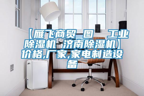 【雁飛商貿(mào) 圖  工業(yè)除濕機 濟南除濕機】價格,廠家,家電制造設備