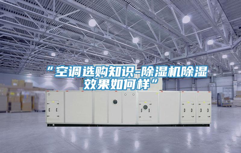 “空調(diào)選購知識-除濕機(jī)除濕效果如何樣”