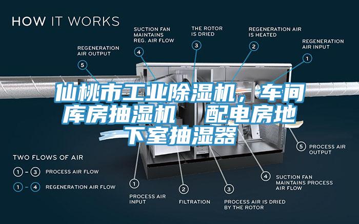 仙桃市工業(yè)除濕機，車間庫房抽濕機  配電房地下室抽濕器