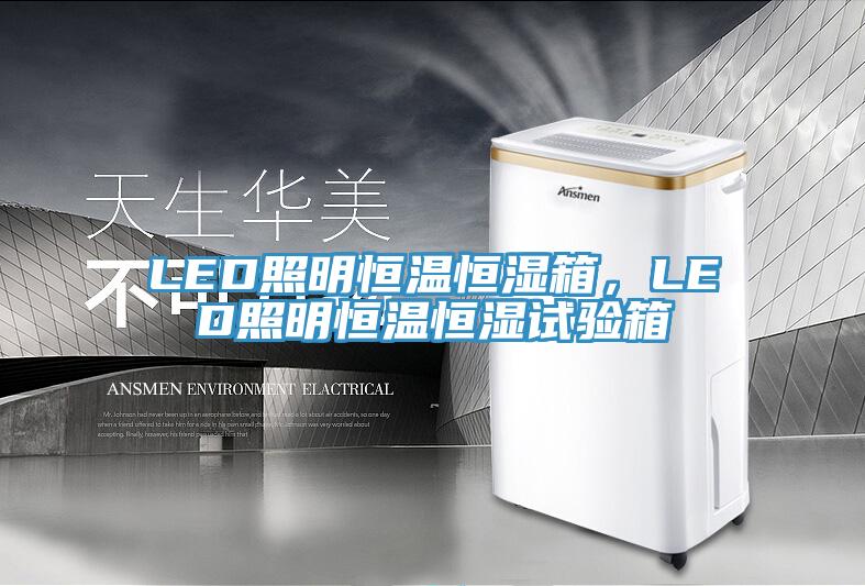 LED照明恒溫恒濕箱，LED照明恒溫恒濕試驗(yàn)箱