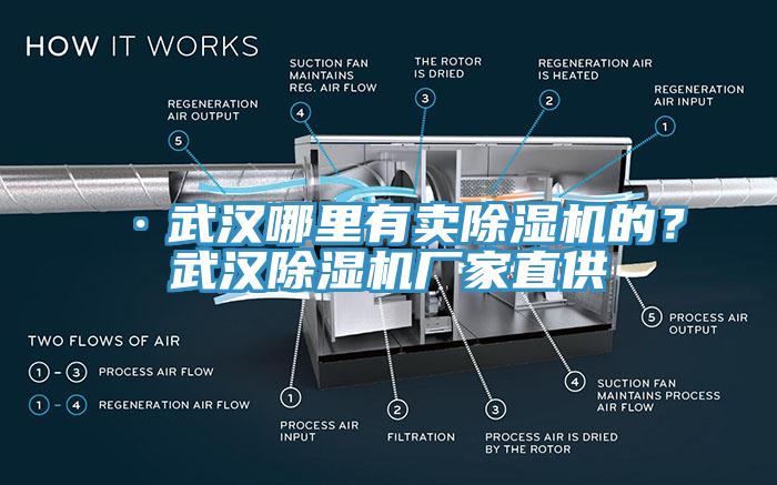 ·武漢哪里有賣除濕機(jī)的？武漢除濕機(jī)廠家直供