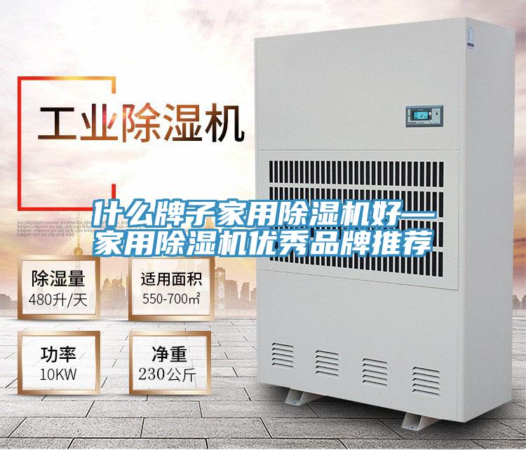 什么牌子家用除濕機(jī)好—家用除濕機(jī)優(yōu)秀品牌推薦