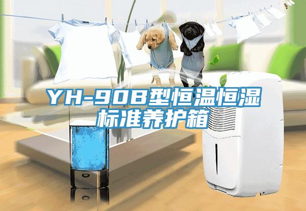 YH-90B型恒溫恒濕標準養(yǎng)護箱