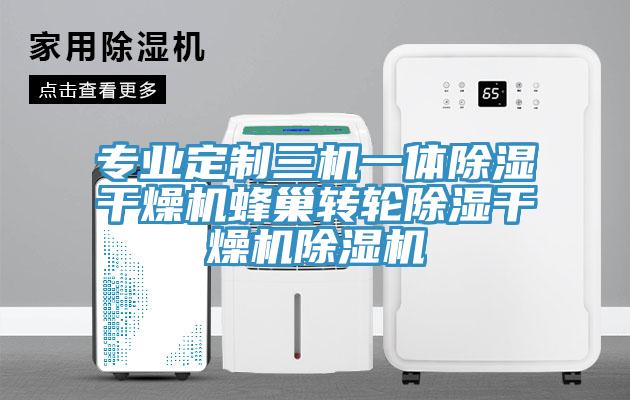 專業(yè)定制三機一體除濕干燥機蜂巢轉(zhuǎn)輪除濕干燥機除濕機