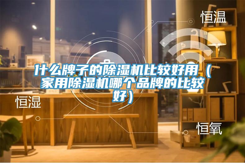 什么牌子的除濕機(jī)比較好用（家用除濕機(jī)哪個(gè)品牌的比較好）