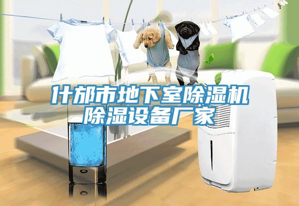 什邡市地下室除濕機(jī)除濕設(shè)備廠(chǎng)家