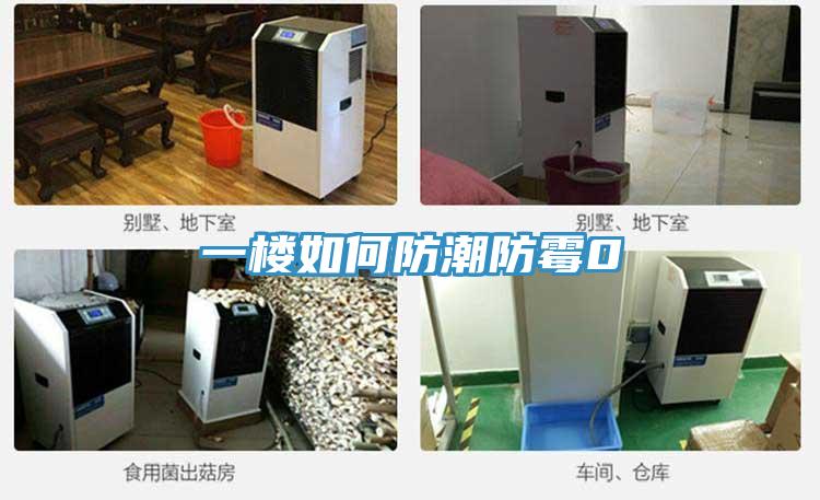 一樓如何防潮防霉0