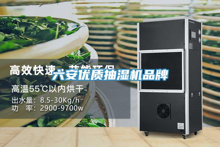 六安優(yōu)質(zhì)抽濕機(jī)品牌