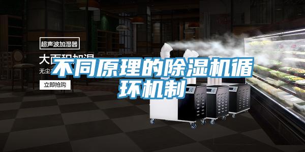 不同原理的除濕機(jī)循環(huán)機(jī)制