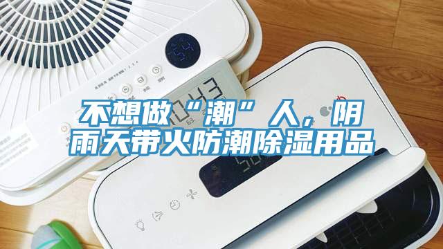 不想做“潮”人，陰雨天帶火防潮除濕用品