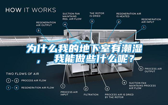 為什么我的地下室有潮濕， 我能做些什么呢？