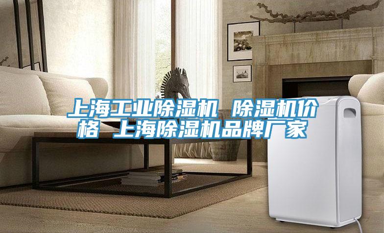上海工業(yè)除濕機(jī) 除濕機(jī)價格 上海除濕機(jī)品牌廠家