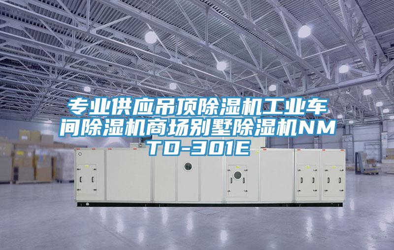 專業(yè)供應吊頂除濕機工業(yè)車間除濕機商場別墅除濕機NMTD-301E