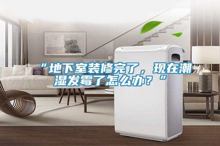 “地下室裝修完了，現(xiàn)在潮濕發(fā)霉了怎么辦？”