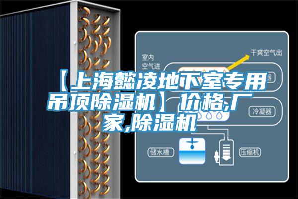 【上海懿凌地下室專(zhuān)用吊頂除濕機(jī)】?jī)r(jià)格,廠家,除濕機(jī)