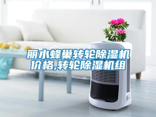 麗水蜂巢轉(zhuǎn)輪除濕機價格,轉(zhuǎn)輪除濕機組