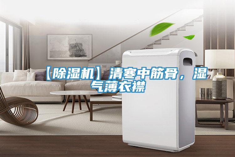 【除濕機(jī)】清寒中筋骨，濕氣薄衣襟