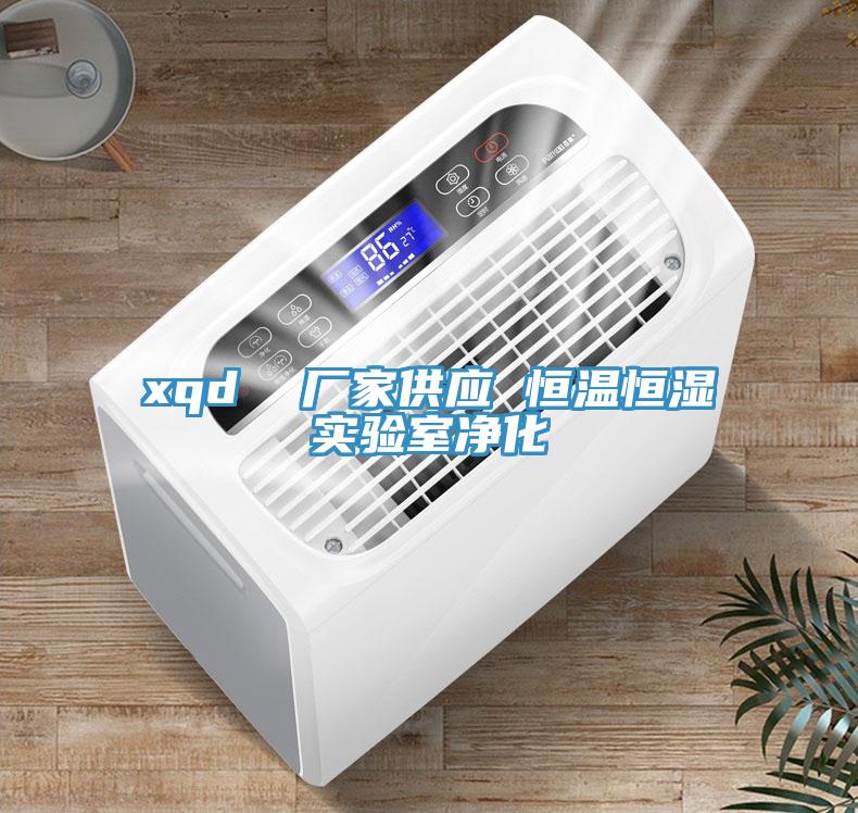 xqd  廠家供應(yīng) 恒溫恒濕實驗室凈化