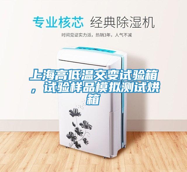 上海高低溫交變?cè)囼?yàn)箱，試驗(yàn)樣品模擬測(cè)試烘箱