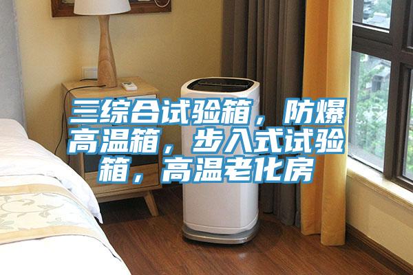 三綜合試驗(yàn)箱，防爆高溫箱，步入式試驗(yàn)箱，高溫老化房