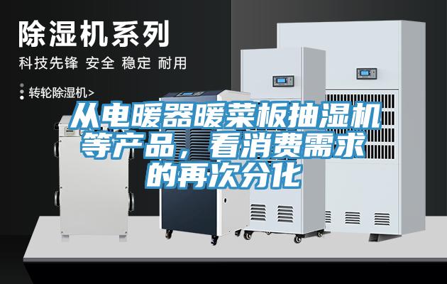 從電暖器暖菜板抽濕機(jī)等產(chǎn)品，看消費(fèi)需求的再次分化
