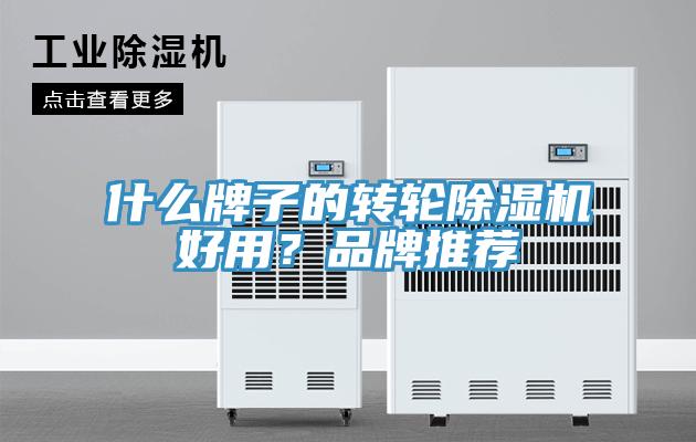 什么牌子的轉(zhuǎn)輪除濕機(jī)好用？品牌推薦