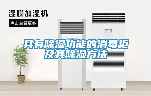 具有除濕功能的消毒柜及其除濕方法