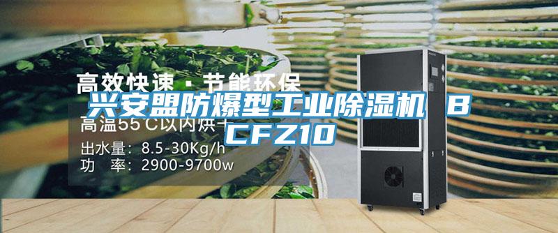 興安盟防爆型工業(yè)除濕機 BCFZ10