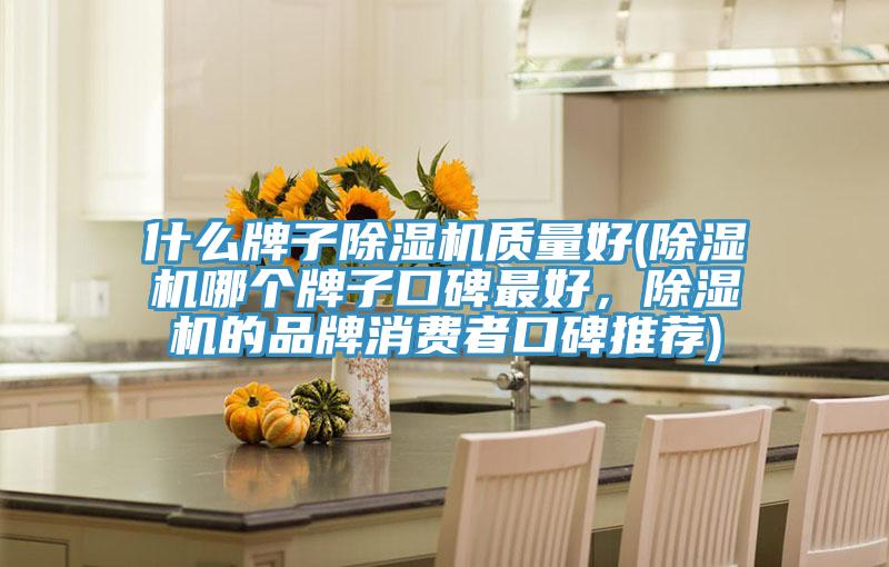 什么牌子除濕機(jī)質(zhì)量好(除濕機(jī)哪個(gè)牌子口碑最好，除濕機(jī)的品牌消費(fèi)者口碑推薦)