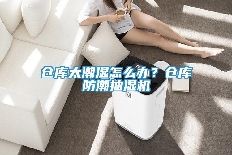 倉庫太潮濕怎么辦？倉庫防潮抽濕機